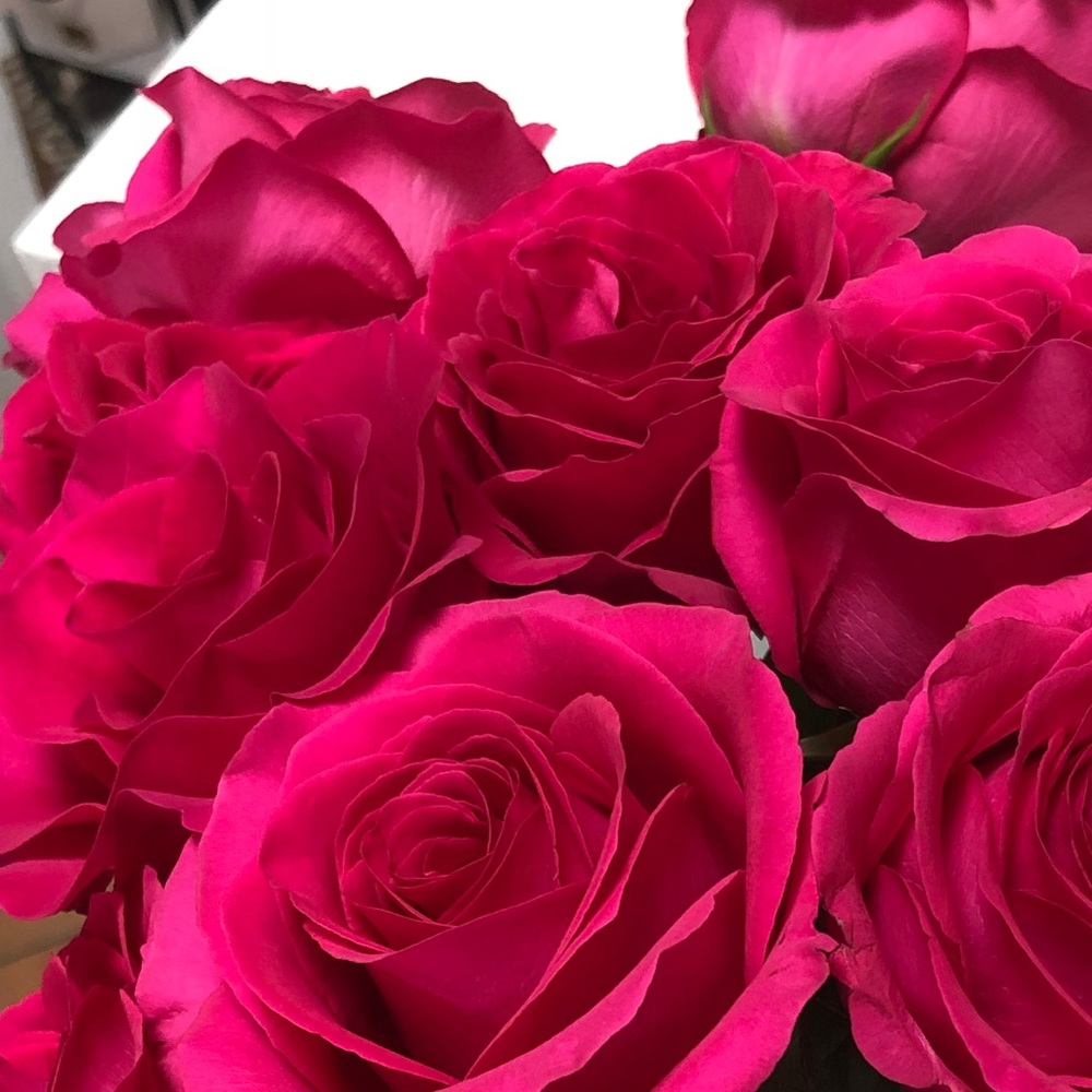 Meet your Posher, Vanessa